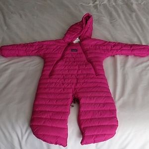 Patagonia down snow bunting